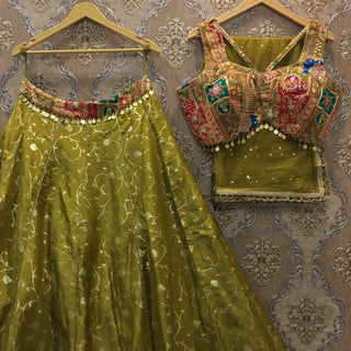 Mehendi Green benarasi lehenga