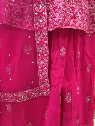 Pink Embroidered Sharara